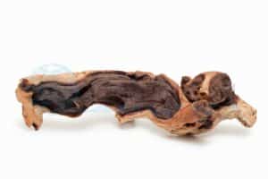 Afrikanisches Holz