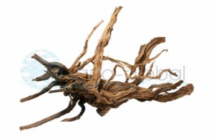 Curl-Wood