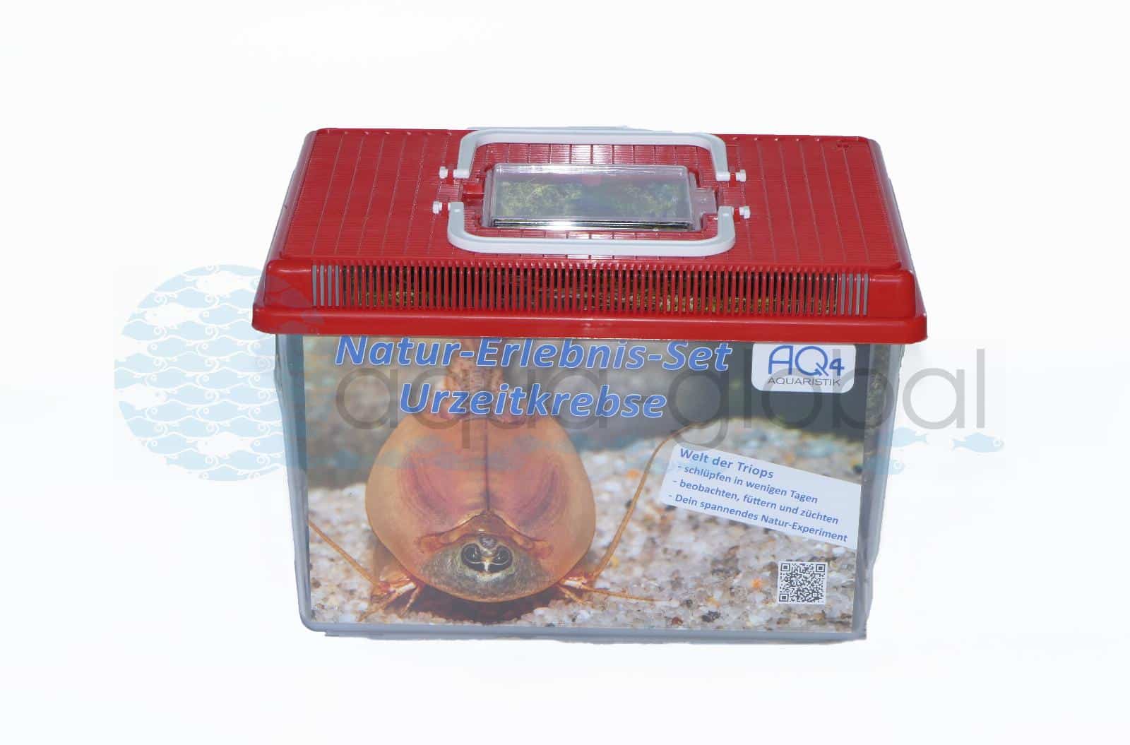 Naturerlebnis-Set Urzeitkrebse (6 Liter), Komplettset Triops longicaudatus